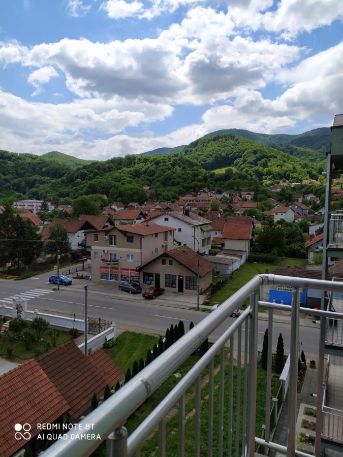 Apartmani - Vila Kovilje Banja Koviljaca Exterior photo