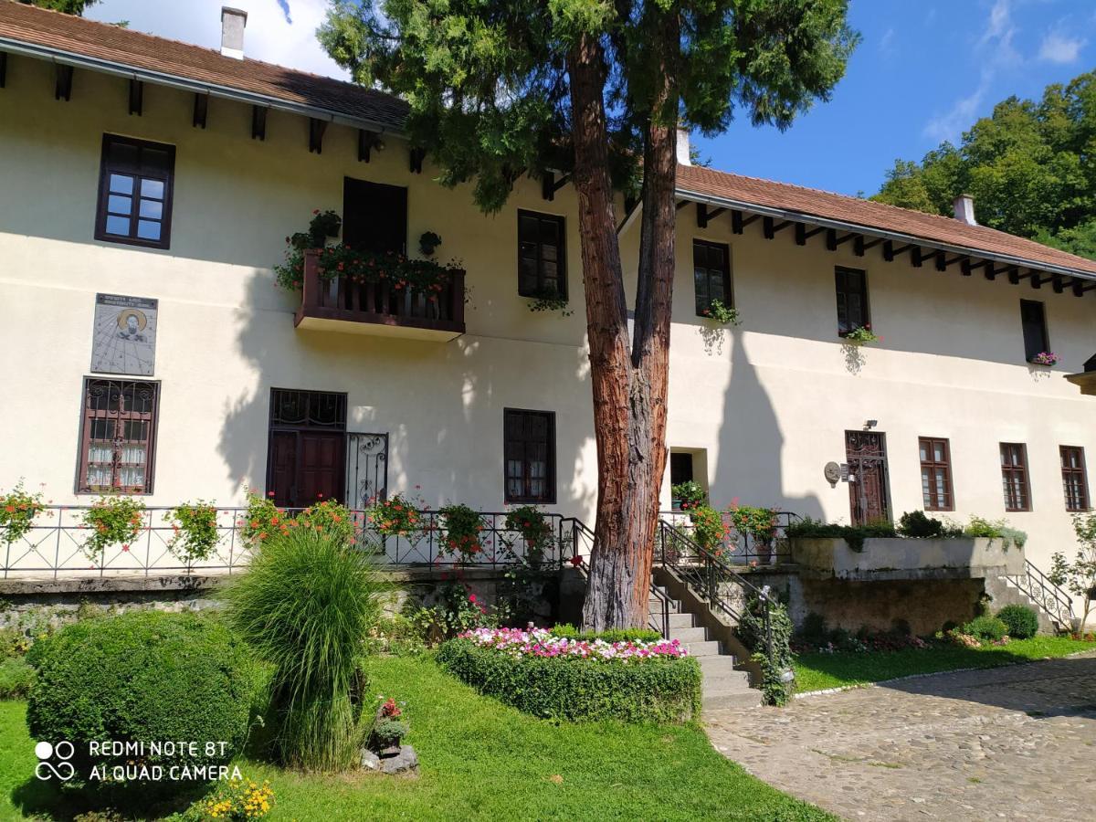 Apartmani - Vila Kovilje Banja Koviljaca Exterior photo