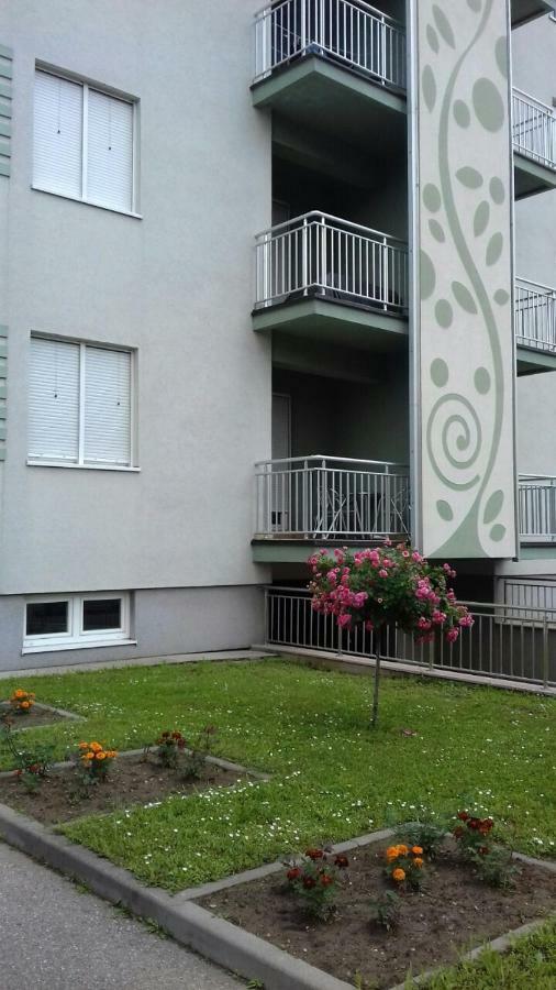 Apartmani - Vila Kovilje Banja Koviljaca Exterior photo